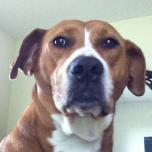 Meet your Posher, Derrick